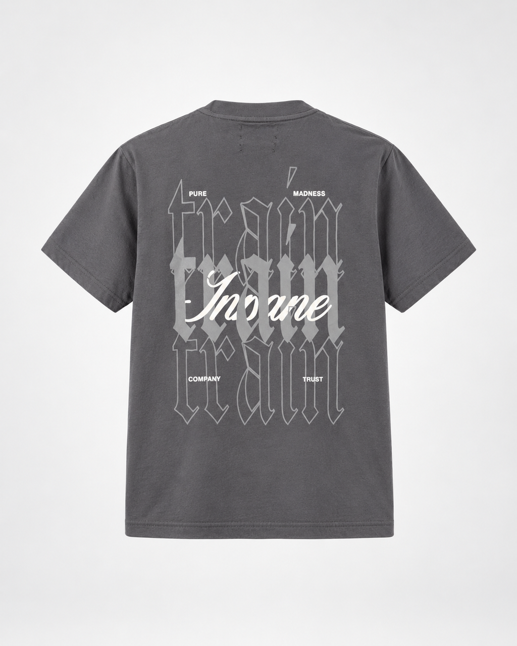 CAMISETA REGULAR GRIS / TRAIN,