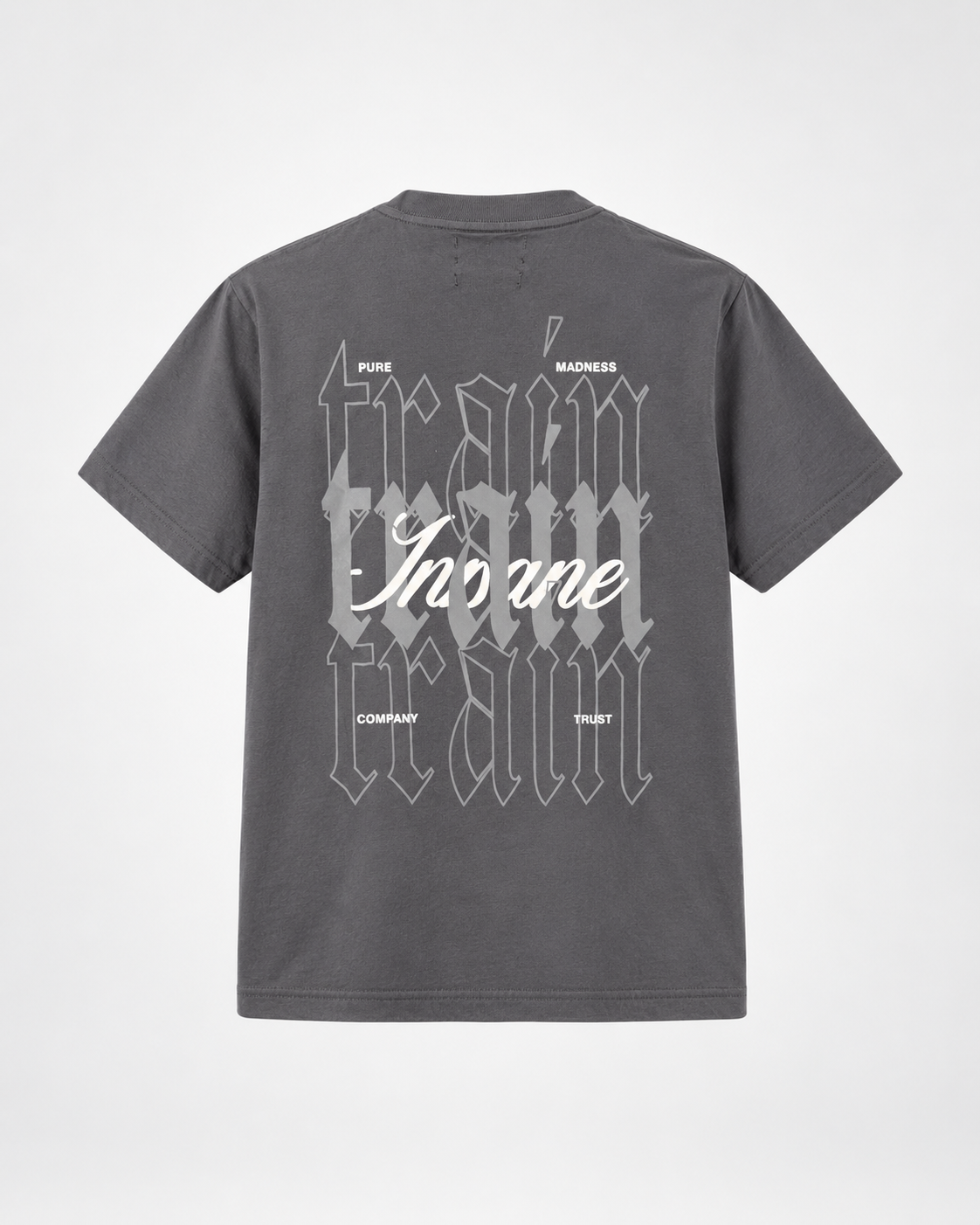 CAMISETA REGULAR GRIS / TRAIN,