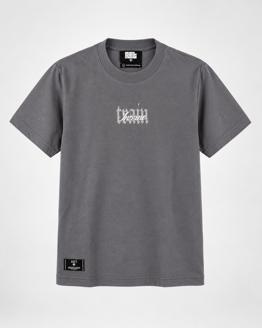 CAMISETA REGULAR GRIS / TRAIN,
