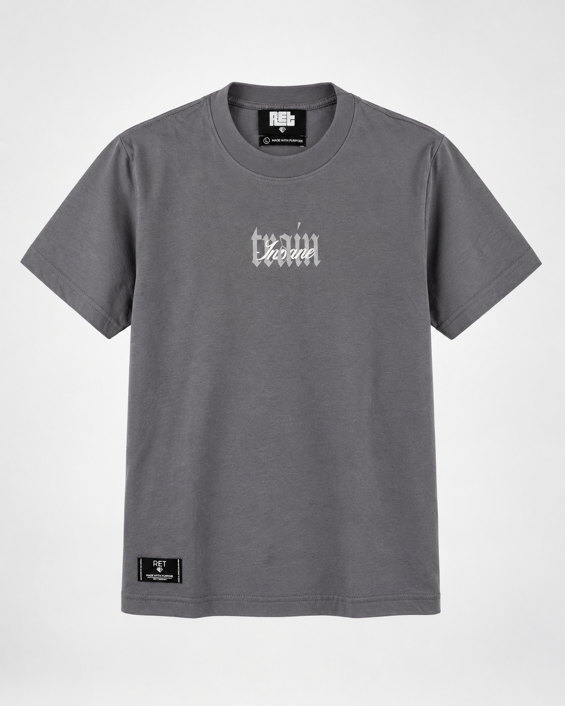 CAMISETA REGULAR GRIS / TRAIN,