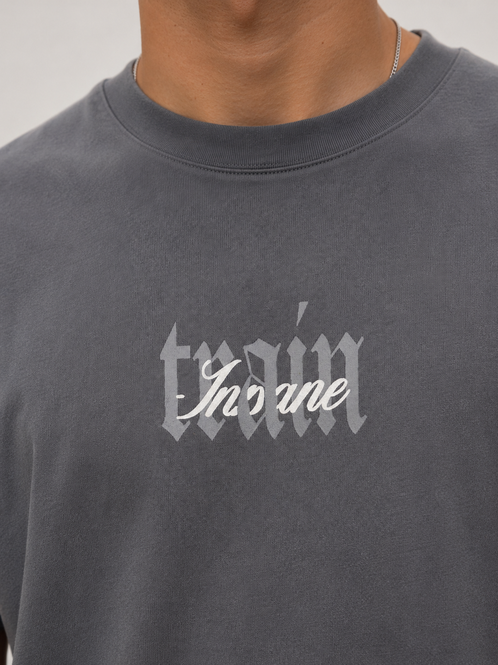 CAMISETA REGULAR GRIS / TRAIN,